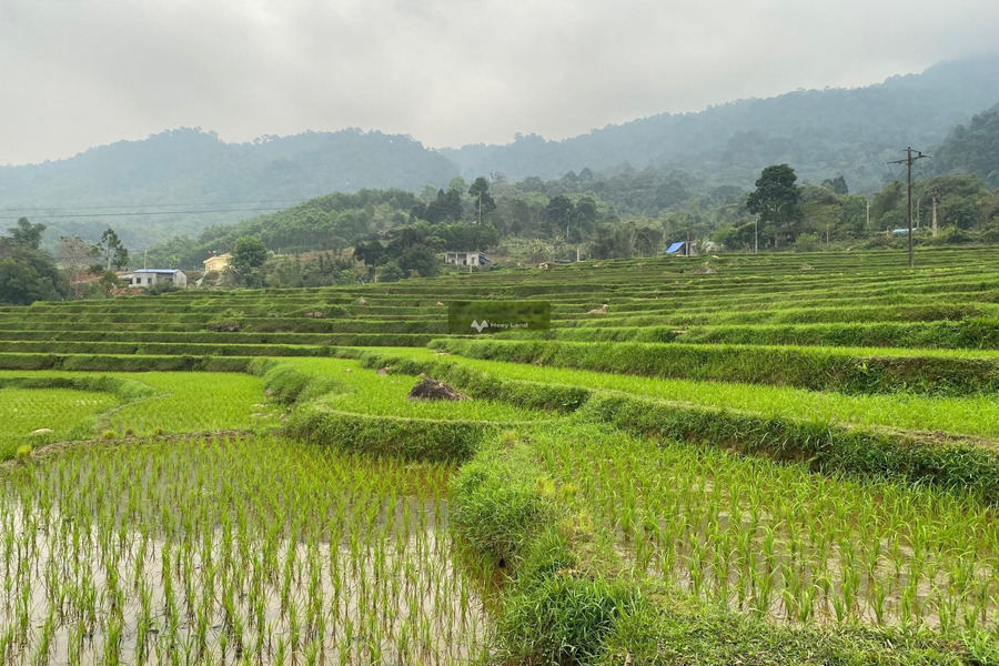 Cần chuyển nhượng tổng diện tích 4433,8m2 tại Kim Bôi cám ơn quý khách đã đọc tin cảm ơn đã xem tin-01