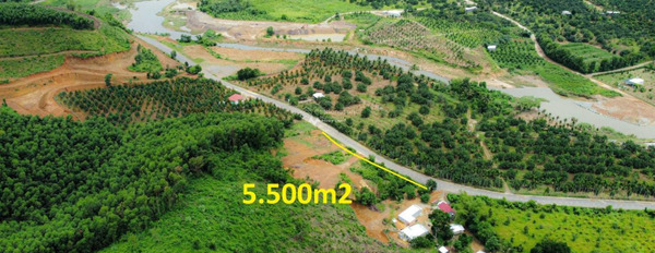 Khoảng 3.2 tỷ bán đất có diện tích chung là 5500m2 mặt tiền tọa lạc tại Khánh Phú, Khánh Hòa-02