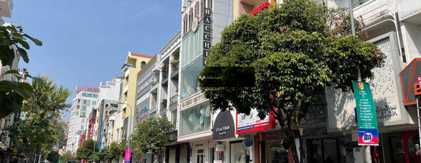 Cho thuê nhà, thuê ngay với giá khoảng từ 70 triệu/tháng diện tích chính là 80m2 vị trí thuận tiện Quận 1, Hồ Chí Minh-02