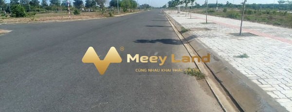 Bán đất diện tích là 140m2 vị trí thuận lợi ở Long Tân, Nhơn Trạch-02