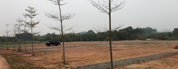 Cần bán gấp lô đất tại xã Quyệt Thắng, Thành phố Thái Nguyên-03