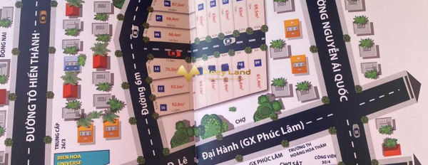 Ở Quốc Lộ 1A, Biên Hòa bán đất 2 tỷ có một diện tích 100m2-02