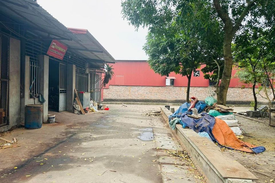 Bán đất thị xã Từ Sơn, Bắc Ninh, giá 2,3 tỷ-01