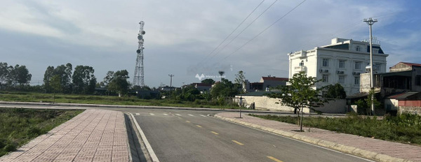 Tọa lạc ngay Tân Phong, Thanh Hóa bán đất giá đề xuất chỉ 1.14 tỷ diện tích thực dài 160m2-02