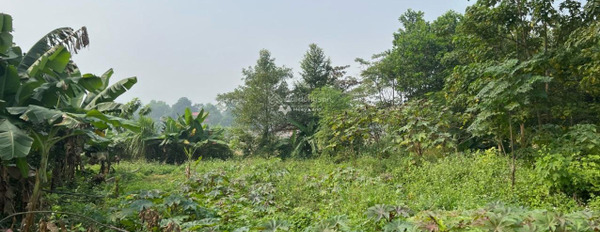 Bán đất Phú Mãn hơn 1 tỷ / sổ, Quốc Oai 450m2 có 250 thổ cư view hồ sen sẵn 3 sổ vị trí trung tâm-03