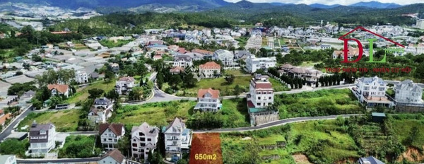 30 tỷ bán đất diện tích mặt tiền 650m2 vị trí đẹp tọa lạc trên Phường 8, Lâm Đồng-03