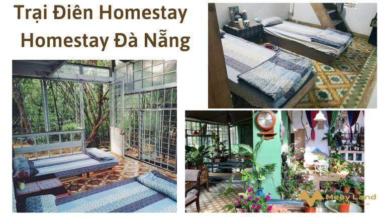 Cho thuê Trại Điên Homestay – Homestay Đà Nẵng