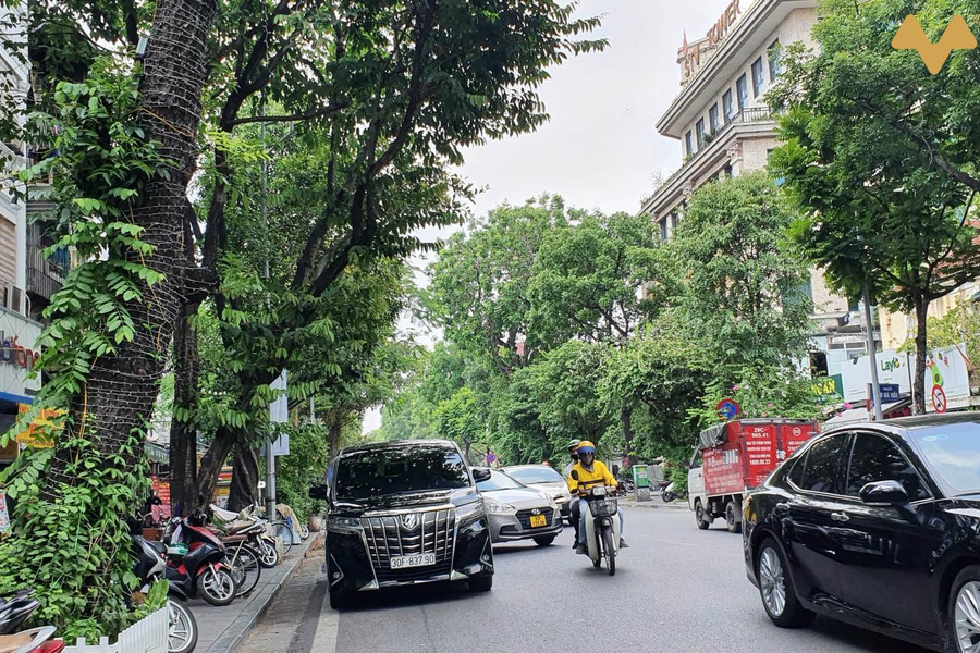Siêu phẩm mặt phố Quang Trung, Hoàn Kiếm 26m2, mặt tiền 5,2m, ô tô, kinh doanh, nhỉnh 26 tỷ-01