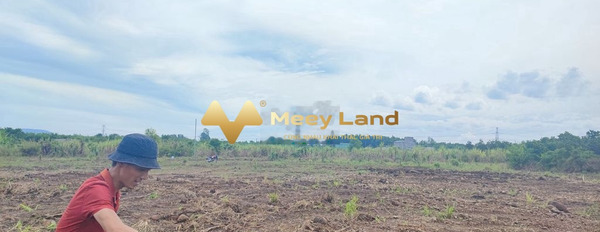 Hưng Bình, Hưng Thịnh bán đất giá bán siêu mềm 950 triệu diện tích rất rộng 856m2-02
