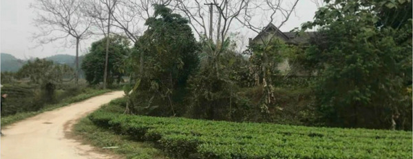 Gia đình cần bán mảnh đất tại Đại Từ, Thái Nguyên, diện tích 2297m2-03