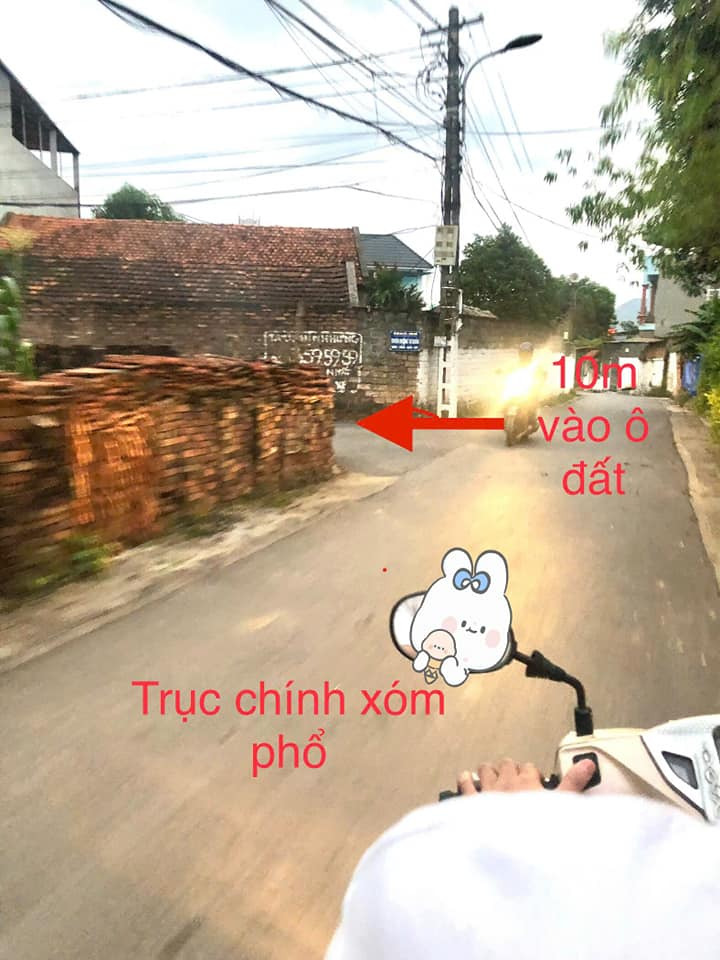 Bán đất huyện Tam Dương tỉnh Vĩnh Phúc giá 1.78 tỷ-0