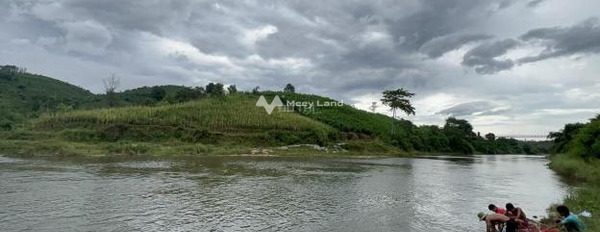 Quốc Lộ 27C, Khánh Hòa bán đất giá mong muốn chỉ 5.5 tỷ, hướng KXĐ với diện tích thực 11000m2-02