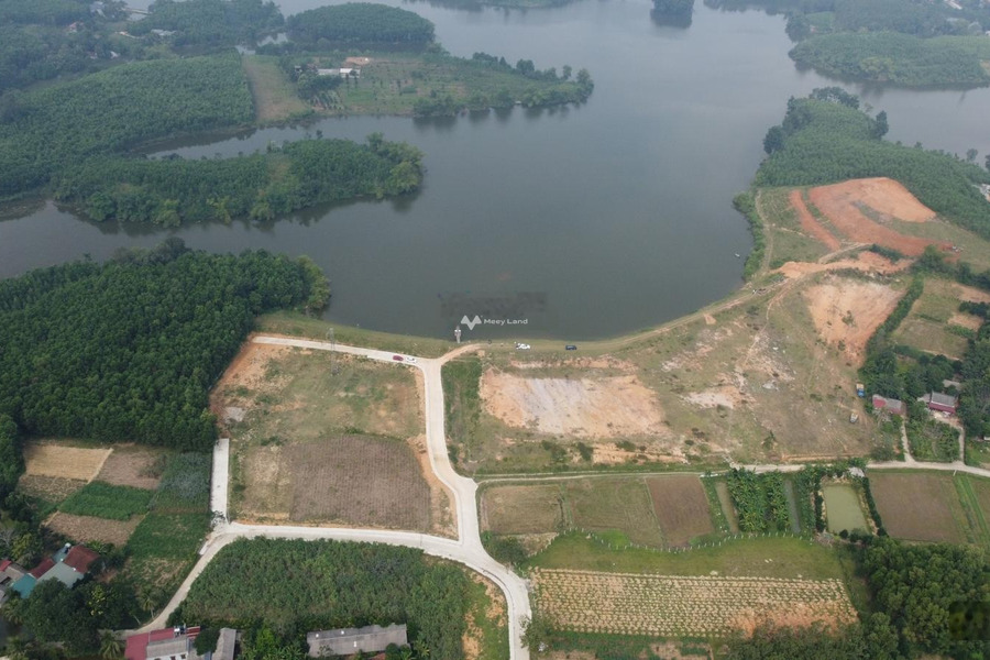 Vị trí đặt ở tại Triệu Sơn, Thanh Hóa bán đất, giá bán quy định 299 triệu diện tích quy đổi 169.3m2-01
