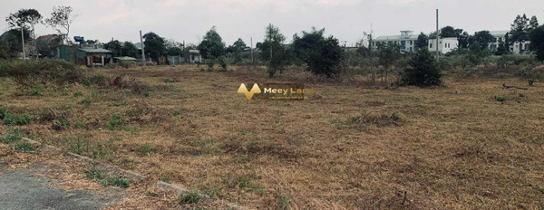 Bán đất tại Đường Long Phước, Huyện Long Thành, giá 1,9 tỷ, diện tích 100m2-02