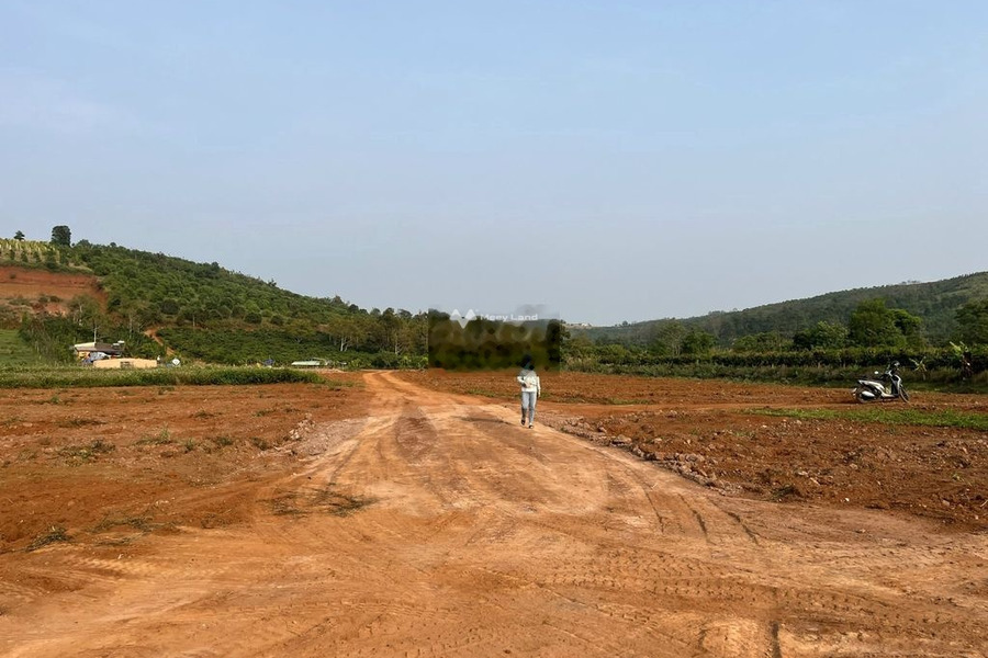 Do khó khăn về tài chính bán mảnh đất, 1000m2 giá bán chính chủ chỉ 520 triệu vị trí thuận lợi nằm tại Đắk Song, Đắk Nông lh thương lượng thêm-01