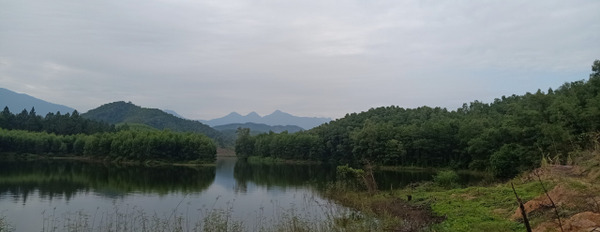 Bán 5800m2 bám hồ, trồng chè siêu đẹp tại Bình Sơn, Phổ Yên, Thái Nguyên-03