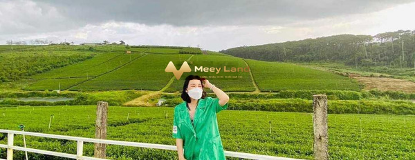 Bán đất 677m2 vị trí thuận lợi tọa lạc ở Bảo Lộc, tỉnh Lâm Đồng, hướng Đông Nam-02