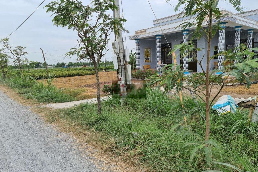 Tăng Hòa, Tiền Giang bán đất giá bán khoảng từ 380 triệu với diện tích khoảng 124m2-01
