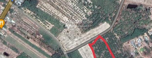 Bán đất tại Tân Đức, Bình Thuận. Diện tích 10000m2-02