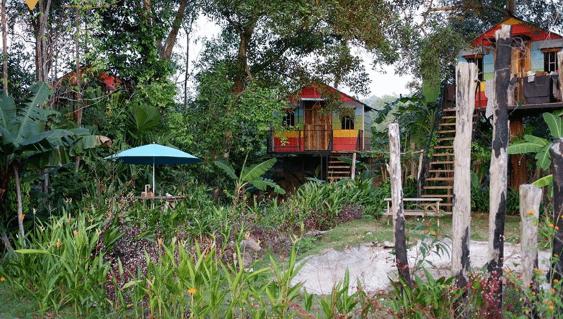 Cho thuê The Birdhouse homestay Phú Quốc