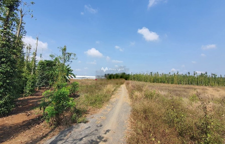 Vị trí thuận lợi nằm trên Lâm San, Đồng Nai bán đất, giá rẻ bất ngờ chỉ 1.65 tỷ có một diện tích sàn 2082m2-01