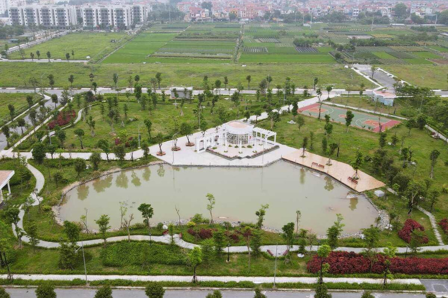 Bán biệt thự nằm ở Thanh Lâm, Mê Linh. Diện tích 250m2-01