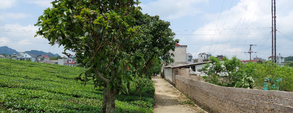 Bán nhà 2 tầng, đầy đủ tiện nghi thị trấn Nông Trường Mộc Châu, Sơn La-02