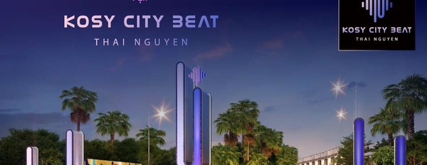 Chính chủ cần bán 90m2 đất dự án trong trung tâm thành phố Thái Nguyên, giá rẻ nhất thị trường-02