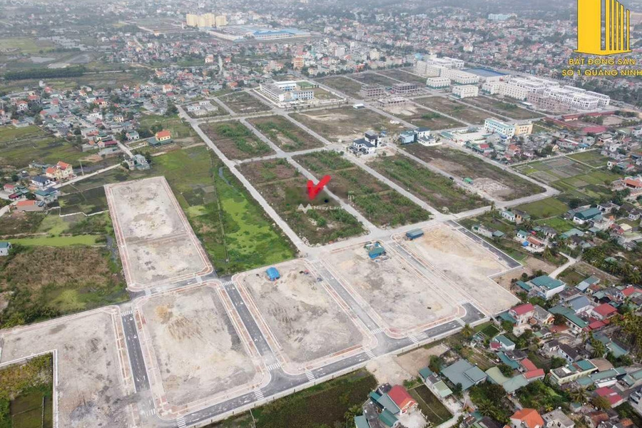 Vị trí đặt ngay Yên Thanh, Quảng Ninh bán đất giá bán gốc chỉ 1.72 tỷ với diện tích khoảng 100m2-01