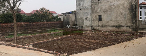 Bán đất vị trí đẹp nằm trên Đông Xuân, Sóc Sơn. Diện tích 90m2-03