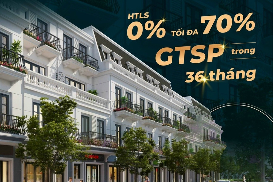 Mua Vincom Shophouse Thái Hoà, đầu tư thông thái - gặt hái niềm vui-01