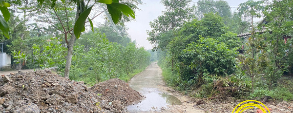 Bán lô đất đẹp tại Trung An Bình Đông Hà, giá chỉ 735 triệu-02