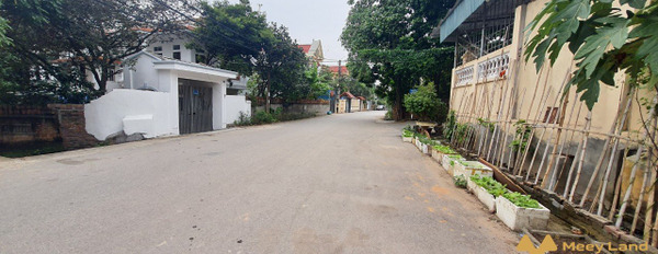 Bán nhà ngõ 33 đường Hùng Vương, Đồng Tâm, Vĩnh Yên. Diện tích 456,3m2, giá 4 tỷ-02