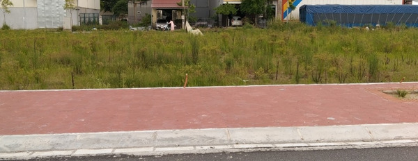 Bán đất nền sổ đỏ khu dân cư Dị Chế, huyện Tiên Lữ, Thành phố Hưng Yên-02