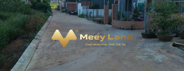 Từ 320 triệu bán đất có dt chung là 100 m2 vị trí đặt ngay trên Tân Lợi, Đắk Lắk, hướng Tây-02