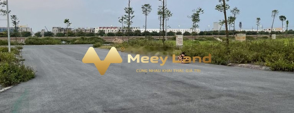 Vị trí mặt tiền ngay trên Từ Sơn, Bắc Ninh bán đất, giá siêu rẻ từ 1,4 tỷ-02