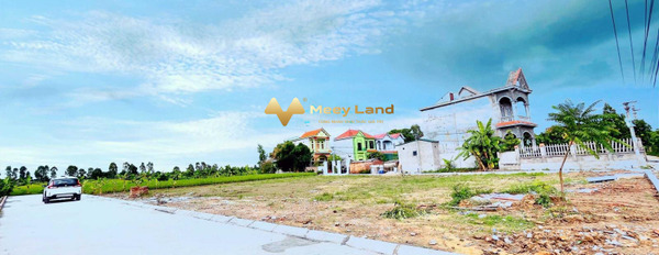 Tọa lạc ngay Nguyễn Văn Linh, Hưng Yên bán đất giá cực sốc chỉ 430 triệu có diện tích thực 70 m2-02
