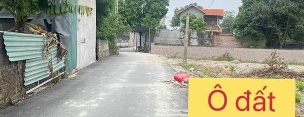 Cần bán nhà riêng huyện Bình Xuyên, Vĩnh Phúc giá 1,2 tỷ-02