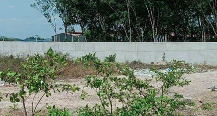 Bán đất thành phố Biên Hòa, tỉnh Đồng Nai giá 13 tỷ-03