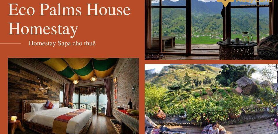 Cho thuê Eco Palms House Homestay