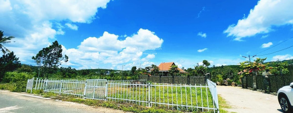 Lộc Sơn, Bảo Lộc bán đất giá bán giao động từ 2.25 tỷ diện tích chung quy 334m2-02