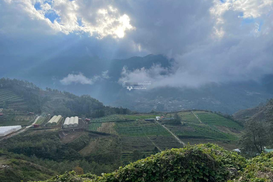 Bán đất tại Sa Pa, Lào Cai. Diện tích 21000m2-01