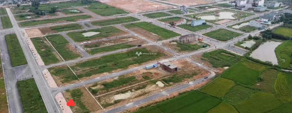 Đô Lương, Nghệ An bán đất giá siêu mềm từ 2.3 tỷ, hướng Tây - Nam diện tích gồm 160m2-02