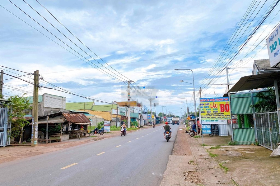 Bán đất tặng nhà 12m mặt tiền Kinh Doanh đường Nguyễn Hoàng,Trảng Bom -01