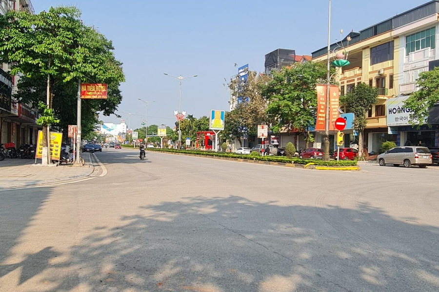 Bán đất biệt thự rộng 180m2 tại phường Liên Bảo, Vĩnh Yên, ngay siêu thị HC-01