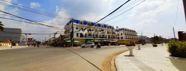 Nằm trong mức 2.5 tỷ bán đất có diện tích sàn 300m2 vị trí đặt nằm ở Tân Trụ, Long An-03