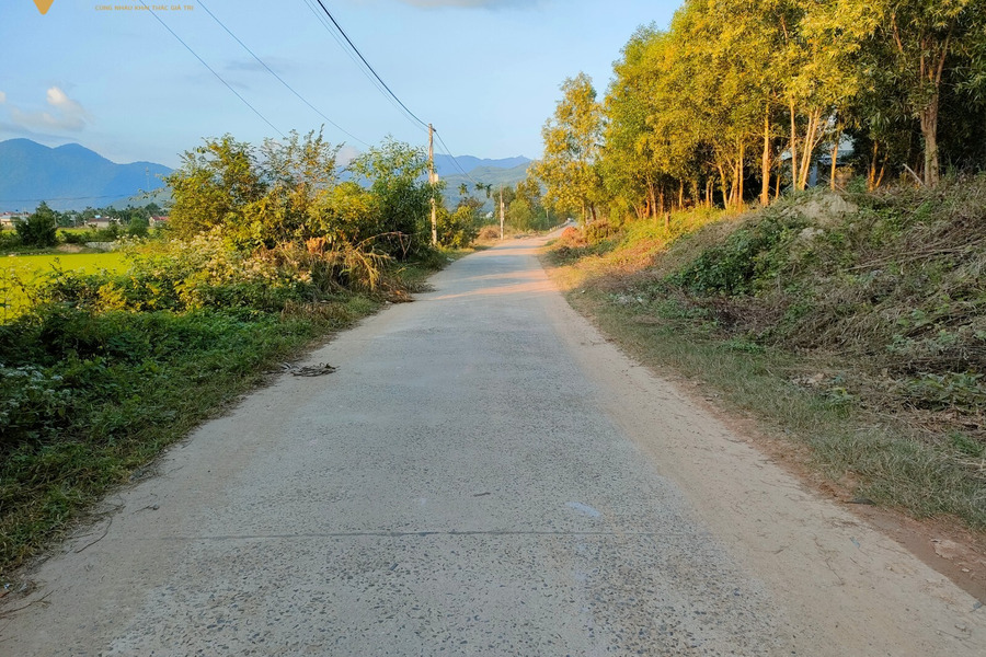 Bán đất Diên Thọ gần 5000m2 sau lưng trạm y tế xã-01