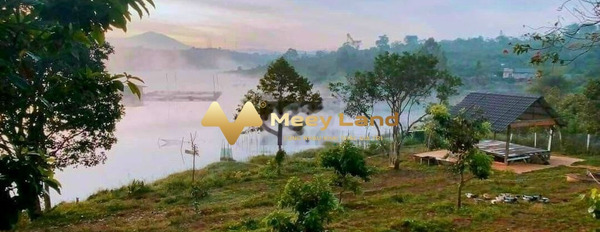 Gấp bán đất Trần Phú, Bảo Lộc giá rẻ 580 triệu diện tích vừa phải 210 m2-03