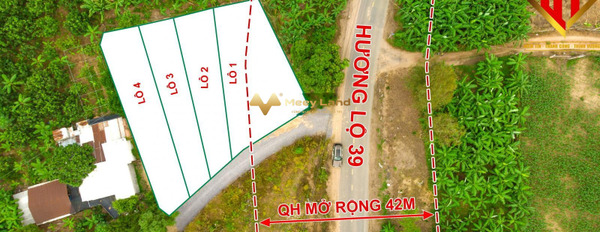 Bán đất nằm tại huyện Diên Khánh, tỉnh Khánh Hòa-02