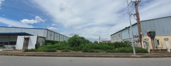 Tôi cần cho thuê kho bãi có dt thực 3500 m2 vị trí đẹp Đường Nguyễn Văn Linh, Quận Long Biên giá chốt nhanh 490 triệu/tháng giá tốt nhất-03